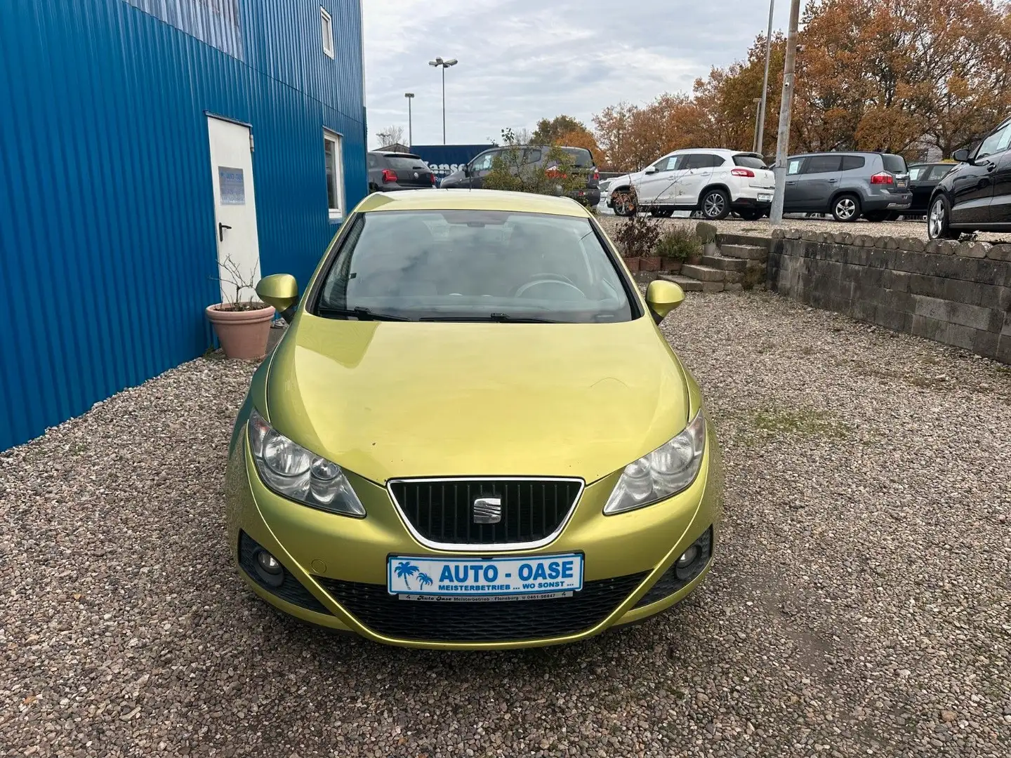 SEAT Ibiza Lim. Stylance / Style*Standheizung*Klima* Grün - 2