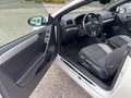 Volkswagen Golf Cabriolet TSi nur Gewerbe/Exp. PDC Blanc - thumbnail 21