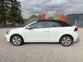 Volkswagen Golf Cabriolet TSi nur Gewerbe/Exp. PDC Blanc - thumbnail 4