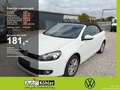 Volkswagen Golf Cabriolet TSi nur Gewerbe/Exp. PDC Blanc - thumbnail 1