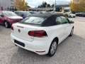 Volkswagen Golf Cabriolet TSi nur Gewerbe/Exp. PDC Wit - thumbnail 7