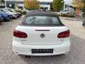 Volkswagen Golf Cabriolet TSi nur Gewerbe/Exp. PDC Blanc - thumbnail 6