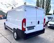 Peugeot Boxer KastenL1H1 Pro PDC Navi Camper TÜV neu Weiß - thumbnail 7