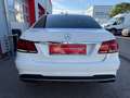 Mercedes-Benz E 200 E 200 BlueTec Aut. Weiß - thumbnail 10