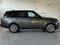 Land Rover Range Rover 3.0d i6 MHEV 249cv Vogue auto IVA ESPOSTA Grau - thumbnail 6
