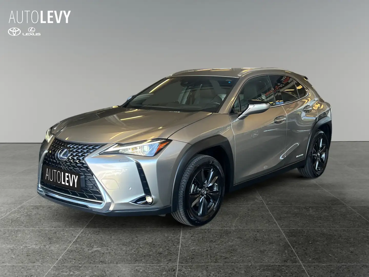 Lexus UX 250h Amazing Edition *8FACH*CARPLAY* Silber - 2