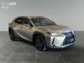 Lexus UX 250h Amazing Edition *8FACH*CARPLAY* Silber - thumbnail 8