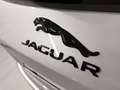 Jaguar F-Pace SE P250 Aut. | Auto Stahl Wien 23 Срібний - thumbnail 11