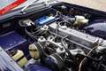 Triumph TR6 PRICE REDUCTION! Overdrive, restored and mechanica Blu/Azzurro - thumbnail 10