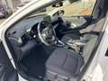 Toyota Yaris Hybrid Business Edition Bianco - thumbnail 8