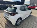 Toyota Yaris Hybrid Business Edition Bianco - thumbnail 5