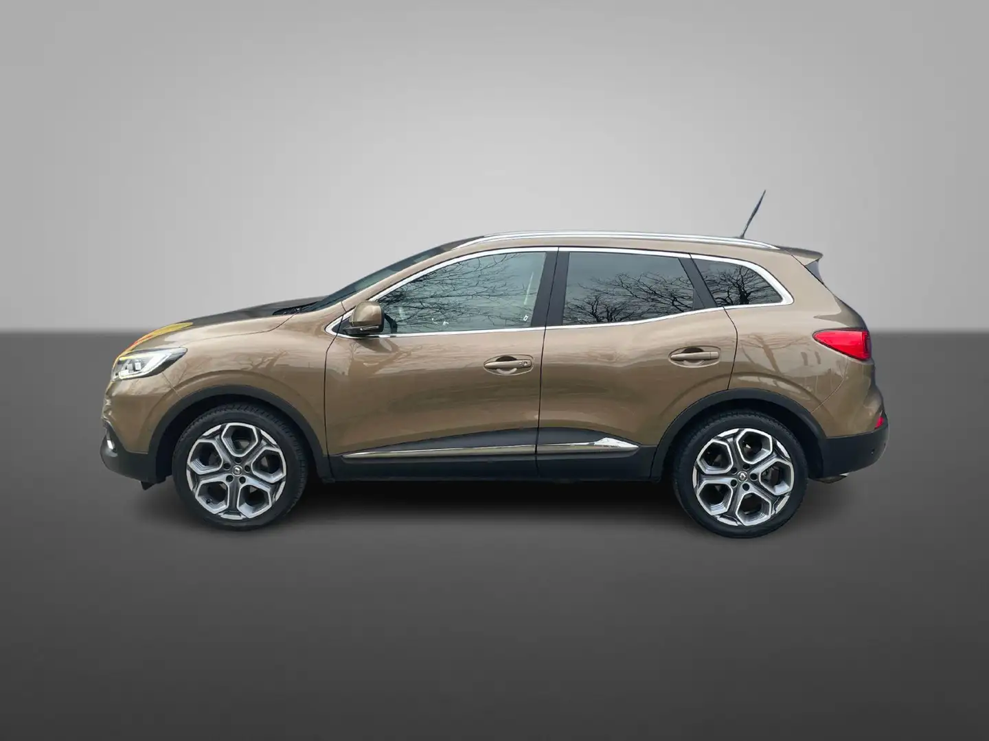 Renault Kadjar 1.2 TCe Bose | AFNB TREKHAAK | LEDER&VERW | ALL-SE Braun - 2