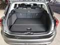 Ford Focus 1.0 EcoBoost Mild-Hybrid Titanium X Kamera Klima Grau - thumbnail 4