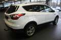Ford Kuga 1.5 EcoBoost 2x4 ST-Line Blanc - thumbnail 6