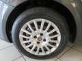 Fiat Punto Punto III 2012 5p 1.3 mjt 16v pop 75cv* Gris - thumbnail 15