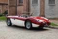 Austin Healey Austin-healey 100M | Factory 100M with gold certif Red - thumbnail 4