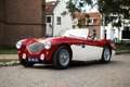 Austin Healey Austin-healey 100M | Factory 100M with gold certif Rood - thumbnail 23