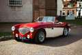 Austin Healey Austin-healey 100M | Factory 100M with gold certif Rouge - thumbnail 2