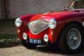 Austin Healey Austin-healey 100M | Factory 100M with gold certif Rojo - thumbnail 9