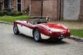 Austin Healey Austin-healey 100M | Factory 100M with gold certif Rojo - thumbnail 18