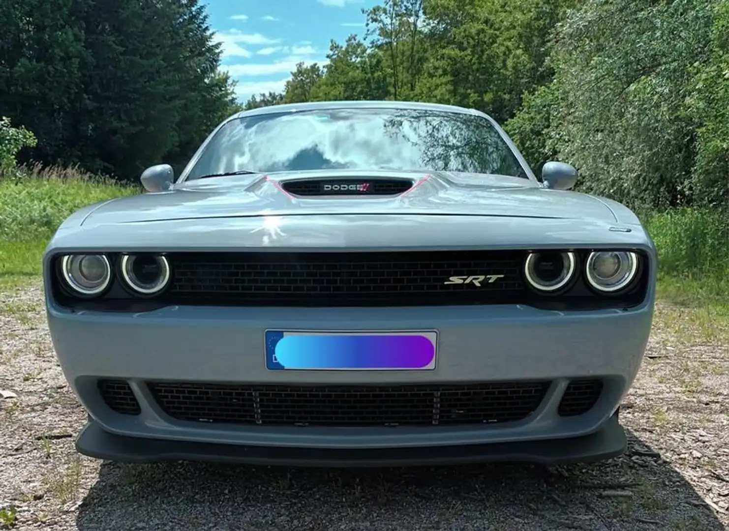Dodge Challenger Challenger Automatik SXT Plus Gris - 1
