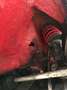 Peugeot 205 GTI 1.9 130 Cv Tetto Apribile ASI TARGA ORO Rood - thumbnail 31