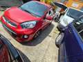 Kia Picanto Dream Team Rot - thumbnail 2
