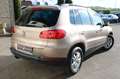 Volkswagen Tiguan 1.4 TSI 6 Gang 8FACH LM" PDC CD KLIMA AHK Beige - thumbnail 5