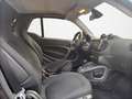 smart forTwo fortwo cabrio Basis 52 kW Schwarz - thumbnail 18