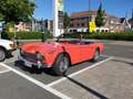 Triumph Sonstige TR 250 Rot - thumbnail 1