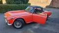 Triumph Sonstige TR 250 Rot - thumbnail 18