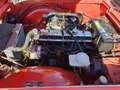 Triumph Sonstige TR 250 Rot - thumbnail 4