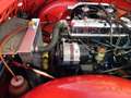 Triumph Sonstige TR 250 Rot - thumbnail 10