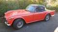Triumph Sonstige TR 250 Rot - thumbnail 15