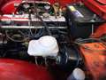 Triumph Sonstige TR 250 Rot - thumbnail 9