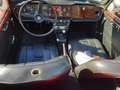 Triumph Sonstige TR 250 Rot - thumbnail 5