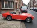 Triumph Sonstige TR 250 Rot - thumbnail 23