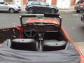 Triumph Sonstige TR 250 Rot - thumbnail 22