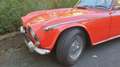 Triumph Sonstige TR 250 Rot - thumbnail 16