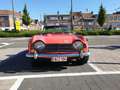 Triumph Sonstige TR 250 Rot - thumbnail 2