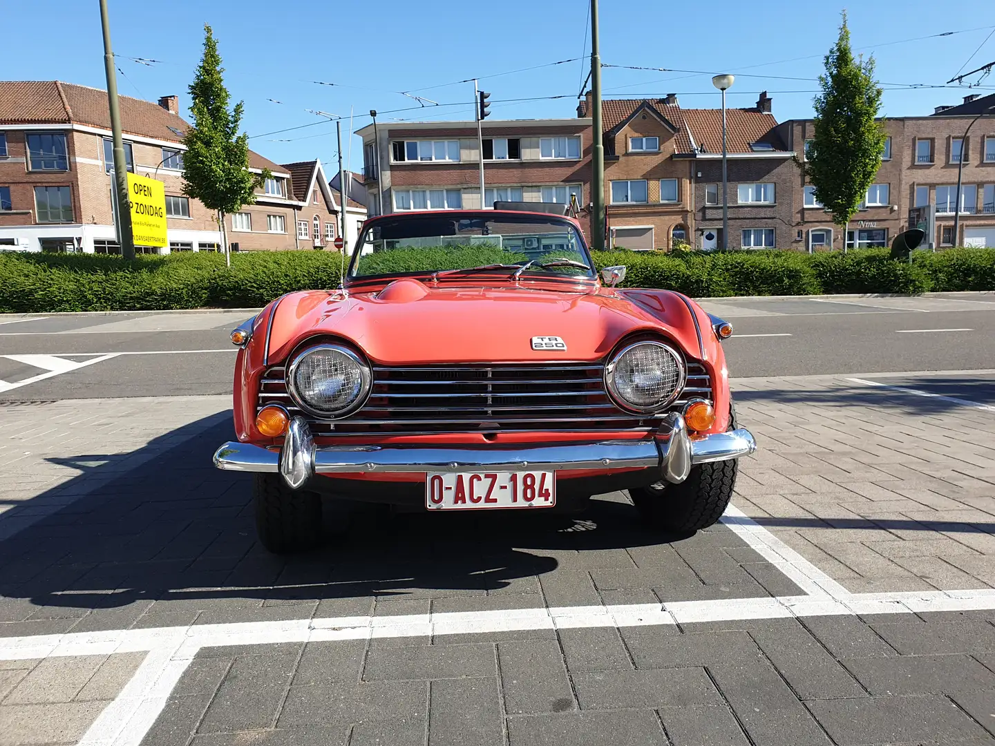 Triumph Sonstige TR 250 Rot - 2