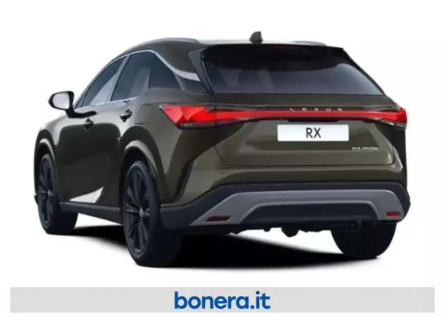 Lexus RX view 4