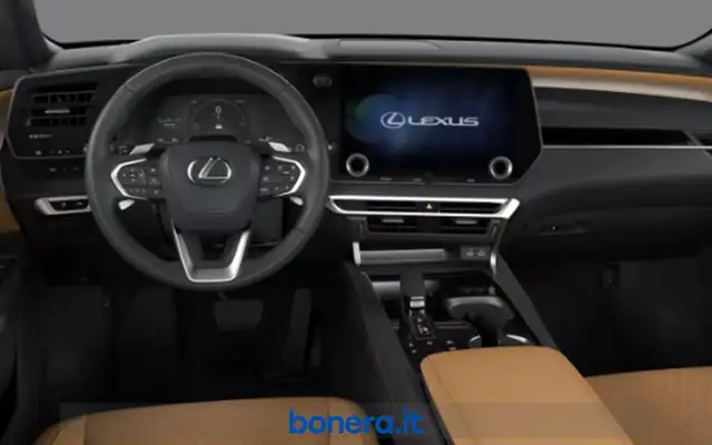 Lexus RX view 5