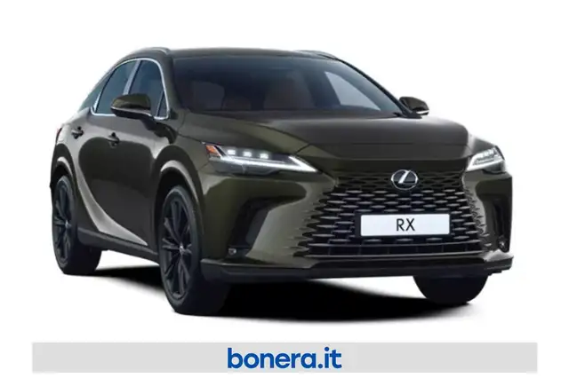 Lexus RX view 2