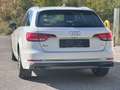 Audi A4 35 TDI sport / Aut. / Tempo / Scheckh. Weiß - thumbnail 9