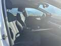 Audi A4 35 TDI sport / Aut. / Tempo / Scheckh. Weiß - thumbnail 21