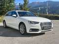 Audi A4 35 TDI sport / Aut. / Tempo / Scheckh. Weiß - thumbnail 13