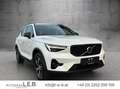 Volvo XC40 B3 Plus Dark Aut. Weiß - thumbnail 3