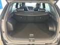 Kia Sportage 1JC5U MY25 1.6 DS MH DCT GTL SR SPT Nero - thumbnail 11