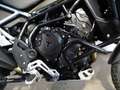 Triumph Tiger 900 RALLY PRO Zwart - thumbnail 6
